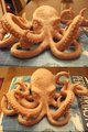 Tentacles~ by Ihana