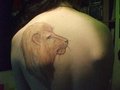 Watching yout back~ by Ihana