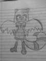 Nega Ruby the Ringtail by aluckygirl