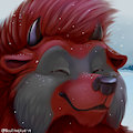 Holiday Stream 2019: Sillywerwolf