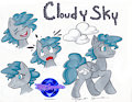 Comm: Cloudy Sky