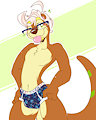 626 BRIEFS