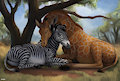 Spots & Stripes by Difetra