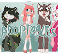 *ADOPTABLES*_Sweet boys