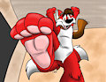 Macro Stompies