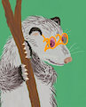 2020 Sun Glasses - Happy New Year