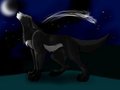 Howling at the moon by shadowulf