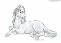 King of the Paddock