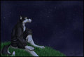 Commission for Kzz by Orthan