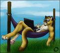 I Make This Look Good  by Orthan