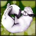 dreams by Nameria