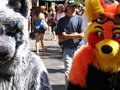 Photo says it all by Shadowdawolf