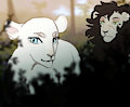 light peering by angelmilk
