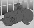 Patreon Rewards: Zorua Caged