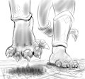 Jovia Paw looms