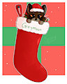 Raccoon Stocking Stuffer by Greymoon