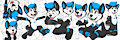 Suka banner
