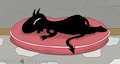 Sleepy Luci Study