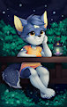 Magic night by Canella