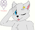 [C] gray cat