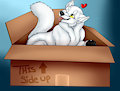 A Wolf in a Box