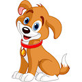 Beauty Dog