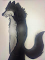 Iomakana by Ionakana