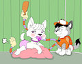 Paw patrol : rehabilitation