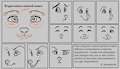 Expression notes