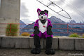 Happy Fursuit Friday