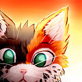 Whiskers by Nakumi