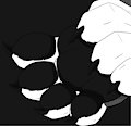 Paws