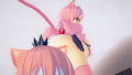 More kittens