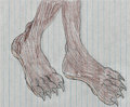 Heather Hedgehog Footshot