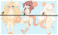Adopt:Closed