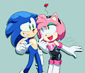 Amy Rose's New Outfit by FlameEliwood