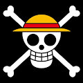 I left everything I own in One Piece. . . Yo! by NPCBurner