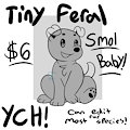 YCH : TINY FERAL OPEN