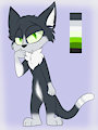 Kitten Adopt~ -Closed-