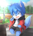 C : Yanto