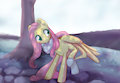 fluttershy with a sock 2014