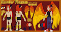 Reference Sheet: Xander Fineous
