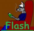 Fenix Tries to Study