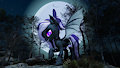 Nightwalker by Plumage