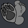 0243 - feetpaws