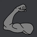 0249 - muscles