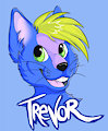 Trevor Badge