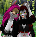 sweet ati 1/2