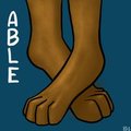 Paw Day Icon for Able