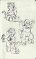 Roary Raptor...and a Tiger 